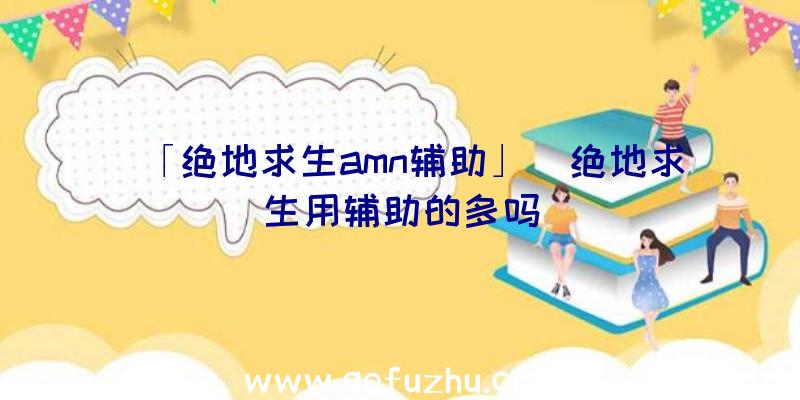 「绝地求生amn辅助」|绝地求生用辅助的多吗